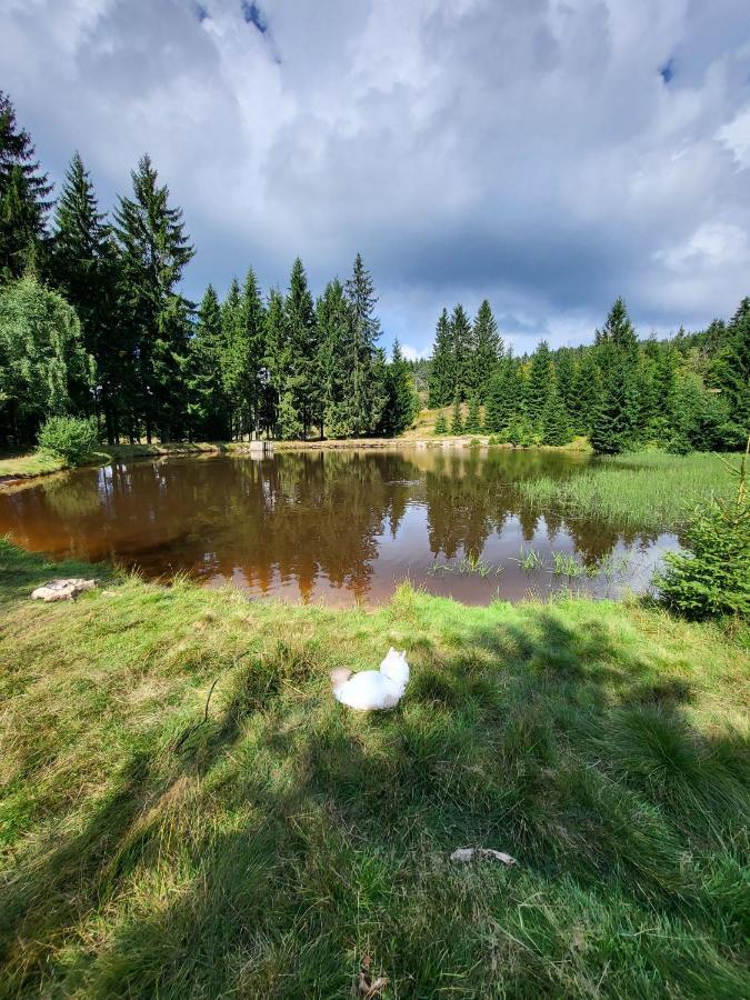 U Zlate Brizy Krusne Hory - Erzgebirge Apartment Horni Blatna Exterior photo